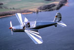 Arado11