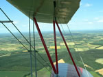 D-EQAX