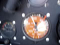 Hahnweide7