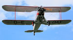 D-EQAX