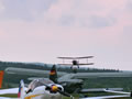 D-EQAX