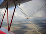 D-EQAX
